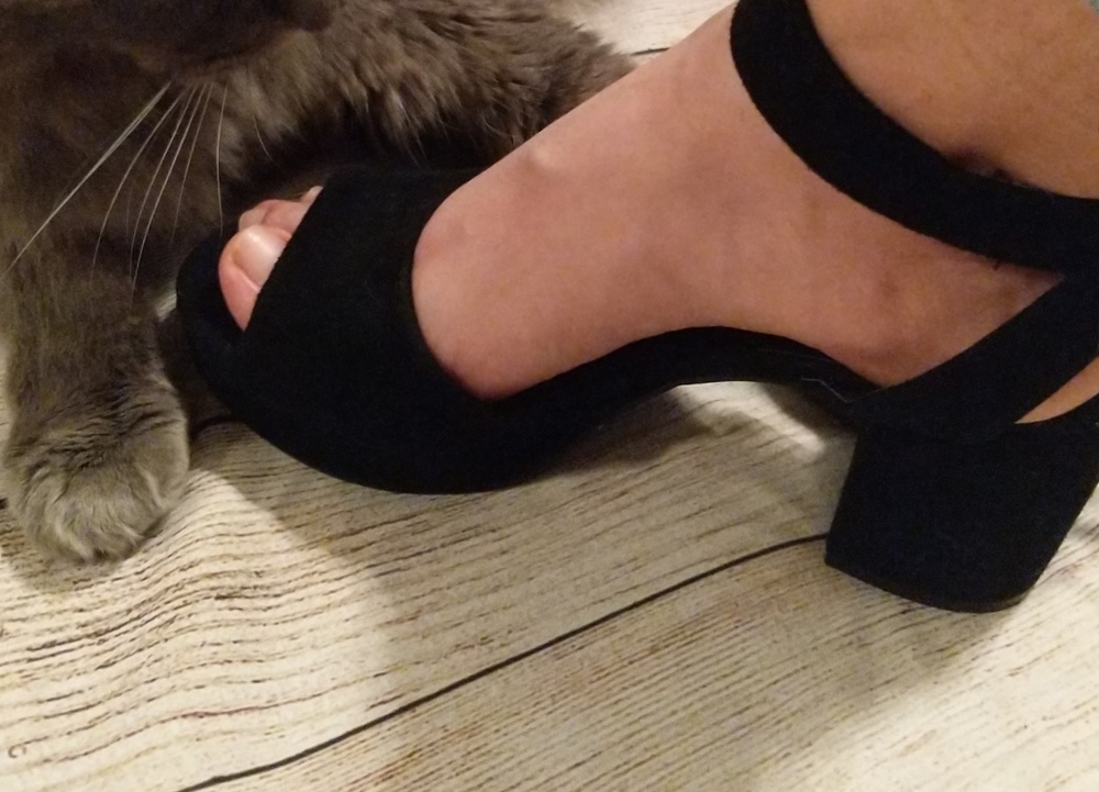 Steve Madden Low Chunky Heel